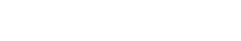 Protek Valves logo
